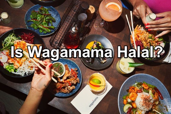 Is Wagamama Halal